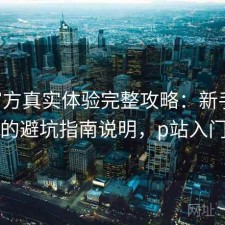 P站官方真实体验完整攻略：新手必看的避坑指南说明，p站入门