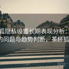 茶杯狐隐私设置长期表现分析：存在的问题与趋势判断，茶杯狐a
