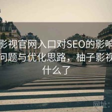 柚子影视官网入口对SEO的影响：存在的问题与优化思路，柚子影视改成什么了