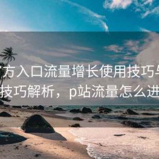 P站官方入口流量增长使用技巧与使用技巧解析，p站流量怎么进