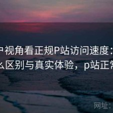 从用户视角看正规P站访问速度：有什么区别与真实体验，p站正常