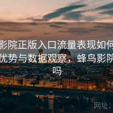 蜂鸟影院正版入口流量表现如何？有哪些优势与数据观察，蜂鸟影院有毒吗