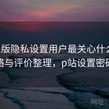 P站正版隐私设置用户最关心什么？完整攻略与评价整理，p站设置密码要求