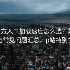 P站官方入口加载速度怎么选？靠谱吗与常见问题汇总，p站特别慢