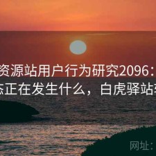 白虎资源站用户行为研究2096：平台生态正在发生什么，白虎驿站软件