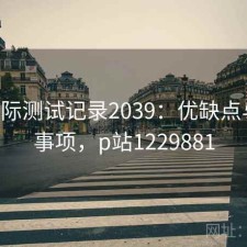 P站实际测试记录2039：优缺点与注意事项，p站1229881