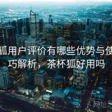 茶杯狐用户评价有哪些优势与使用技巧解析，茶杯狐好用吗