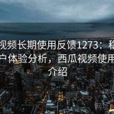 西瓜视频长期使用反馈1273：稳定性与用户体验分析，西瓜视频使用功能介绍