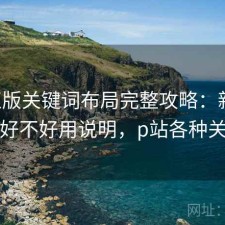 P站正版关键词布局完整攻略：新手必看的好不好用说明，p站各种关键词