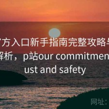 P站官方入口新手指南完整攻略与使用技巧解析，p站our commitment to trust and safety