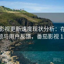 番茄影视更新速度现状分析：存在的问题与用户反馈，番茄影视 1.1.5
