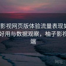 柚子影视网页版体验流量表现如何？好不好用与数据观察，柚子影视客户端