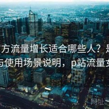P站官方流量增长适合哪些人？是否值得与使用场景说明，p站流量女性