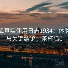 茶杯狐真实使用日志1934：体验变化与关键结论，茶杯狐0