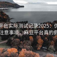 麻豆平台实际测试记录2025：优缺点与注意事项，麻豆平台真的假的