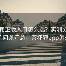 茶杯狐正版入口怎么选？实测分析与常见问题汇总，茶杯狐app怎么用