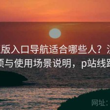 P站正版入口导航适合哪些人？注意事项与使用场景说明，p站线路