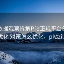 基于数据观察拆解P站正规平台的SEO优化 对策怎么优化，p站zilv