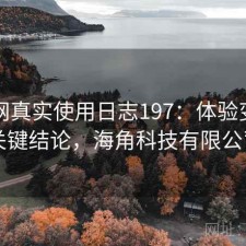 海角网真实使用日志197：体验变化与关键结论，海角科技有限公司