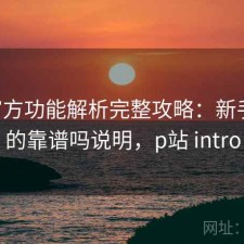 P站官方功能解析完整攻略：新手必看的靠谱吗说明，p站 intro