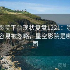 星空影院平台现状复盘1221：哪些问题最容易被忽略，星空影院是哪个公司