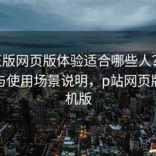 P站正版网页版体验适合哪些人？使用技巧与使用场景说明，p站网页版变手机版