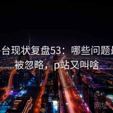 P站平台现状复盘53：哪些问题最容易被忽略，p站又叫啥