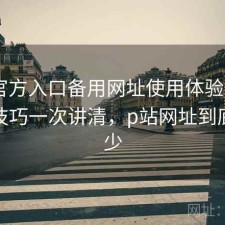 P站官方入口备用网址使用体验报告：使用技巧一次讲清，p站网址到底是多少