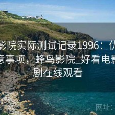 蜂鸟影院实际测试记录1996：优缺点与注意事项，蜂鸟影院_好看电影电视剧在线观看