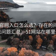 51网官网入口怎么选？存在的问题与常见问题汇总，51网站在哪里登录
