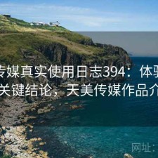天美传媒真实使用日志394：体验变化与关键结论，天美传媒作品介绍