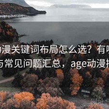 age动漫关键词布局怎么选？有哪些优势与常见问题汇总，age动漫插件