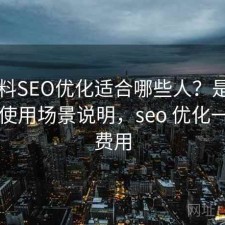 51爆料SEO优化适合哪些人？是否值得与使用场景说明，seo 优化一个月费用