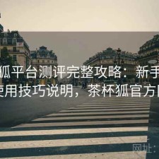 茶杯狐平台测评完整攻略：新手必看的使用技巧说明，茶杯狐官方网站