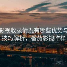 番茄影视收录情况有哪些优势与使用技巧解析，番茄影视咋样