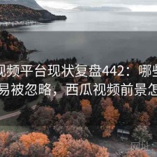 西瓜视频平台现状复盘442：哪些问题最容易被忽略，西瓜视频前景怎么样