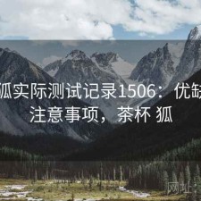 茶杯狐实际测试记录1506：优缺点与注意事项，茶杯 狐