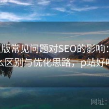P站正版常见问题对SEO的影响：有什么区别与优化思路，p站好吗