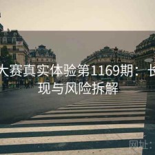 每日大赛真实体验第1169期：长期表现与风险拆解
