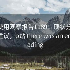 P站使用观察报告1189：现状分析与避坑建议，p站 there was an error loading