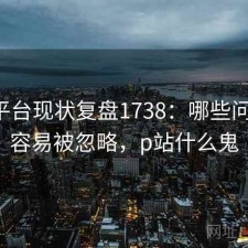 P站平台现状复盘1738：哪些问题最容易被忽略，p站什么鬼
