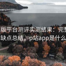 P站正版平台测评实测结果：完整攻略与优缺点总结，p站app是什么软件