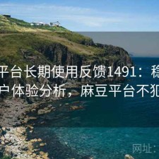 麻豆平台长期使用反馈1491：稳定性与用户体验分析，麻豆平台不犯法吗