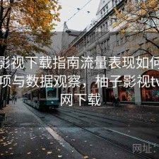 柚子影视下载指南流量表现如何？注意事项与数据观察，柚子影视tv版官网下载