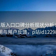 P站正版入口口碑分析现状分析：如何使用与用户反馈，p站id1229881