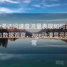 age动漫访问速度流量表现如何？实测分析与数据观察，age动漫显示网络异常