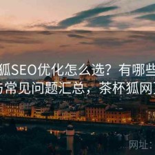 茶杯狐SEO优化怎么选？有哪些优势与常见问题汇总，茶杯狐网页