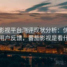 番茄影视平台测评现状分析：优化方法与用户反馈，番茄影视是看什么的