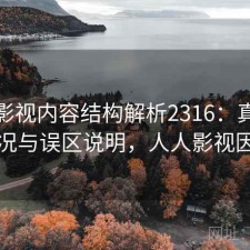 人人影视内容结构解析2316：真实情况与误区说明，人人影视因