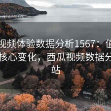 西瓜视频体验数据分析1567：值得关注的核心变化，西瓜视频数据分析网站
